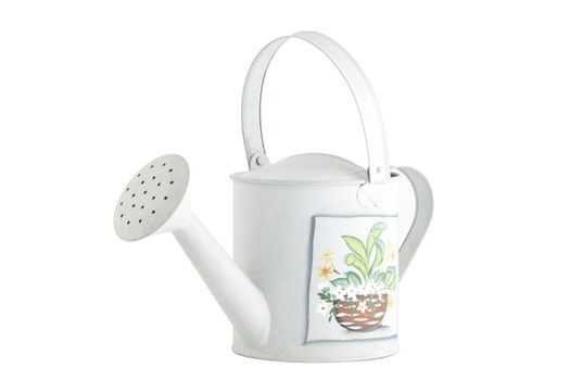 front view of vintage white sprinkler with flower print