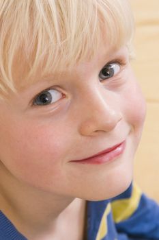 cute smiling little boy portrait