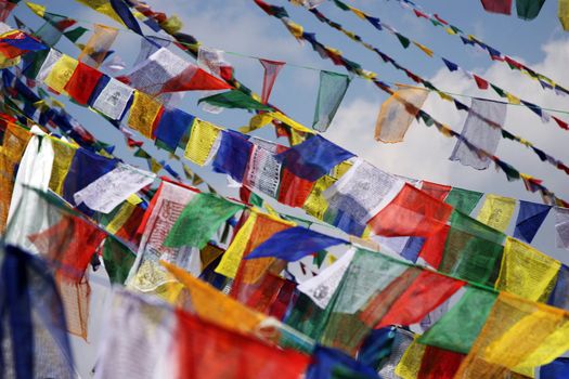 Plenty of colorful Tibetan Buddhist prayer flags 