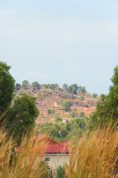 cambodian landscape
