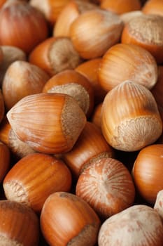 Hazelnuts