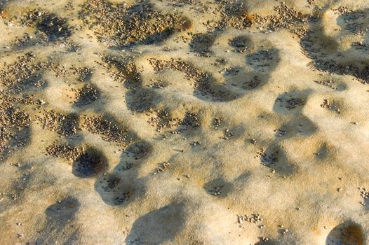 beach rock surface