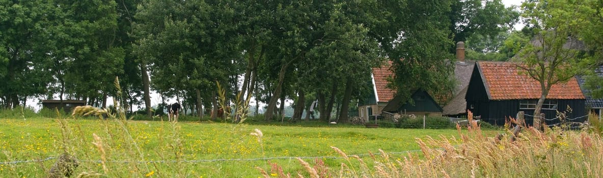 An old farm like a classic painting. A cow and a pony are just biding time.  Laundry is hanging to dry. The roof is covered with reed, seen on many old Dutch farms