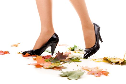 WOman legs stepping on autumn leaves with isolated background