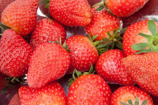 Close up of fresh strawberries in a stainless steel bowl.