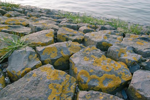 Basalt is widely used as a defence against the sea. It provides a perfect habitat for lichen.