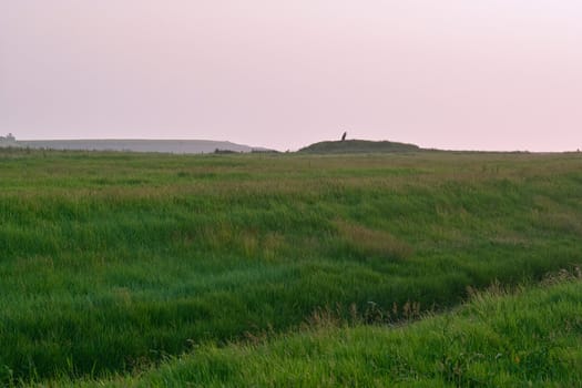 A mysterious figure on the former island Wieringen.