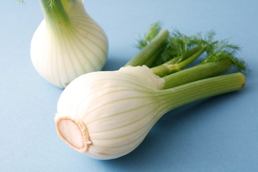 Fennel