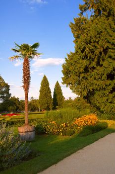 View of a part of the French park with a palm tree and a cedar. Lednice. The Czech Republic