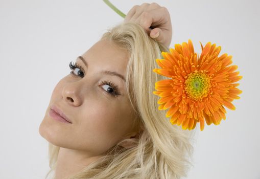 model with bright orange gerbera on isolated studio pictures