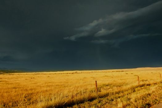 Dark, ominous storm clouds roll over golden prairie grass highlighted by the setting sun.