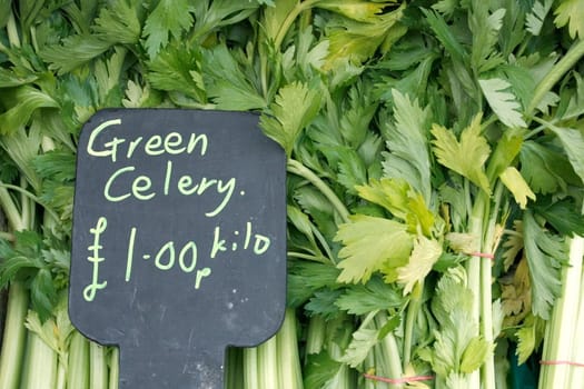 Celery