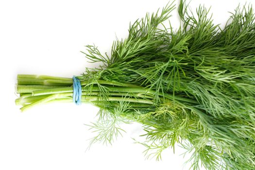 Delicious fresh dill from the garden