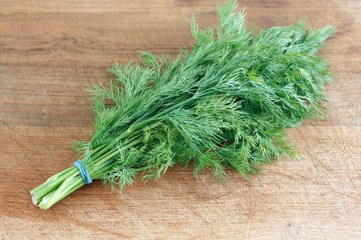 Delicious fresh dill from the garden