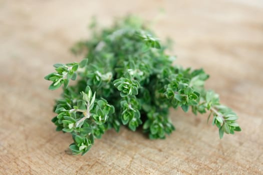 Thyme