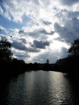 Royal parkland in St James Park in London.
