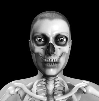 X ray of a women for medical or Halloween concepts.
