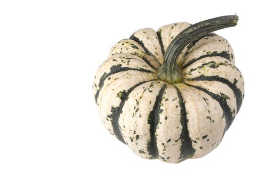 single pumpkin on white background