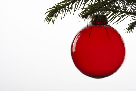 red christmas tree ball hanging from spruce leaf