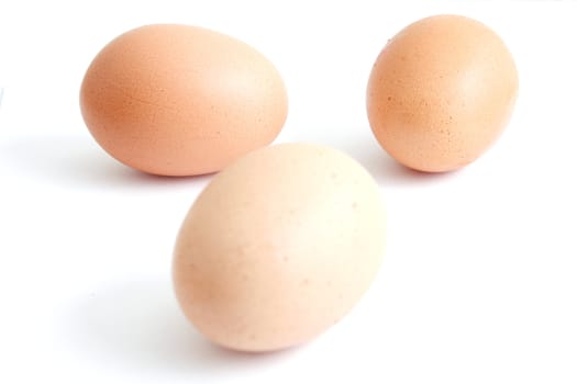 Eggs on a white surface