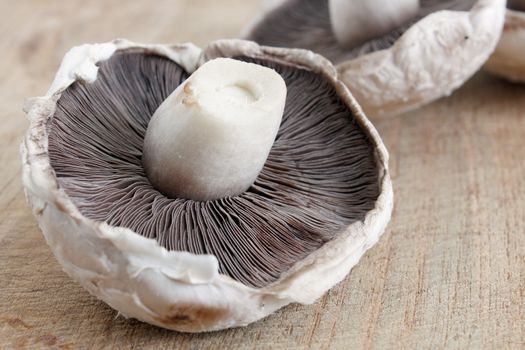 A big flat mushroom on a wooden surface