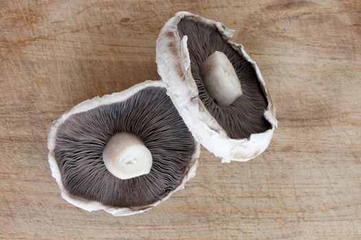 A big flat mushroom on a wooden surface