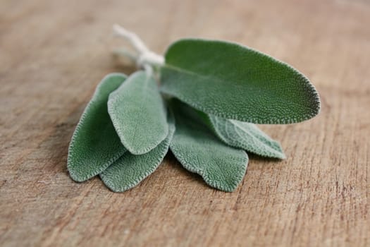 Sage on a wooden background