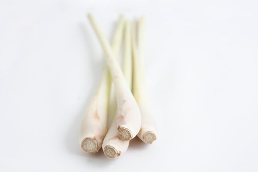 Lemon grass isolated on a white bg