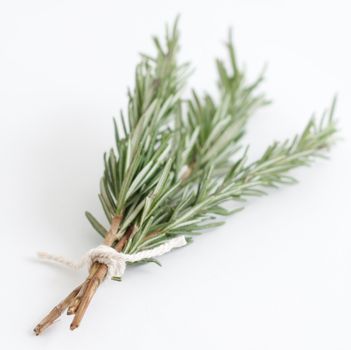 Fragrant rosemary herbs isolated on white