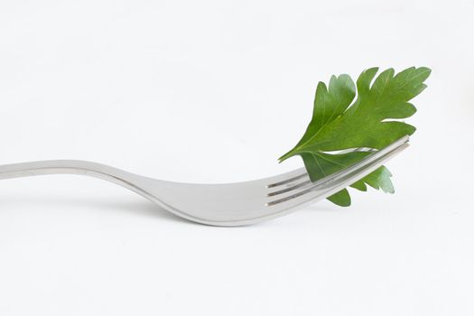 Parsley isolated on a white bg