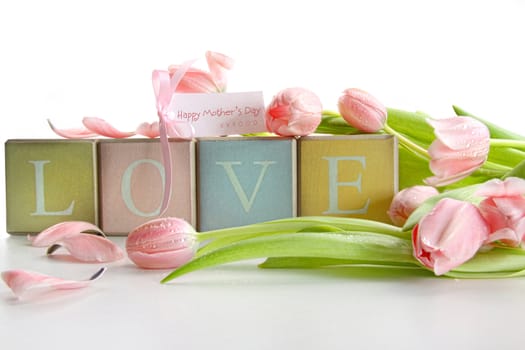 Colored blocks with tulips and gift card on white