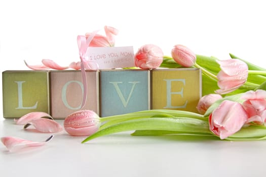 Colored blocks with tulips and gift card on white