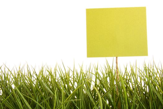 Green sign in the grass with white background