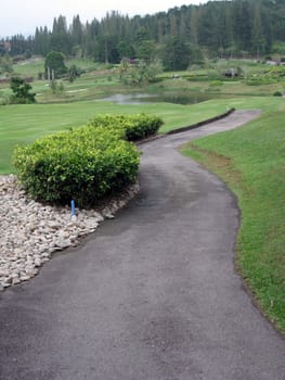 a path in the beautiful scenery of a golf land.