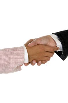 shaking hands against white background