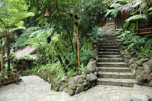 beautiful tropical garden with many flowers and green plant