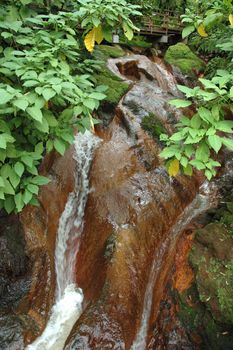 forest stream running over mossy rocks