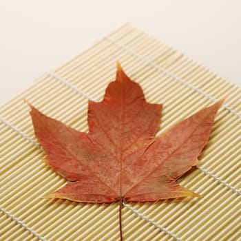 Red Sugar Maple leaf resting on bamboo mat.