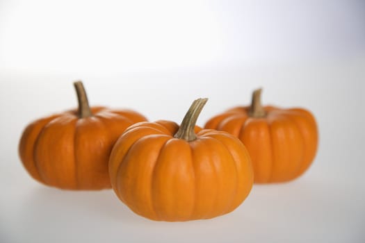 Still life of three orange pumpkins against white background.