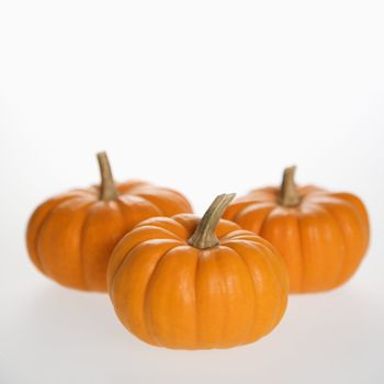 Still life of three orange pumpkins against white background.