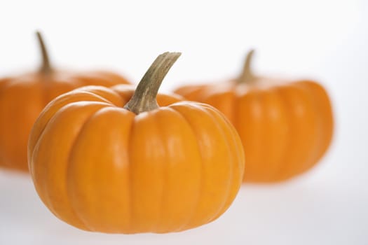 Still life of three orange pumpkins against white background.