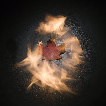 Circle of flames enveloping a single Maple leaf.
