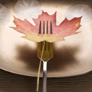 Red and green Maple leaf pierced by a dinner fork with dinner plate in background.