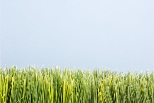 Strip of artificial green grass against blue background.