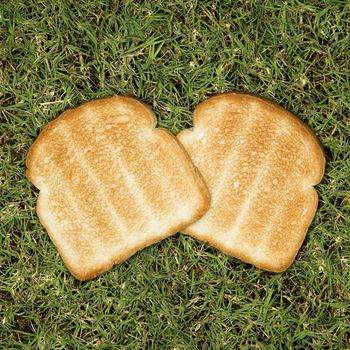 Two slices of toast on grass.