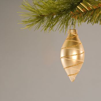 Still life of gold Christmas ornament hanging from pine branch.