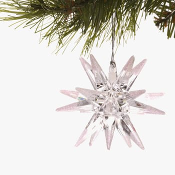 Still life of star-shaped white Christmas ornament hanging from pine branch.