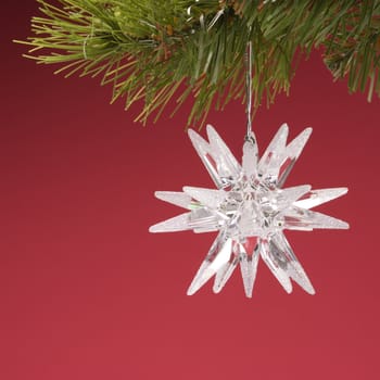 Still life of star-shaped white Christmas ornament hanging from pine branch.