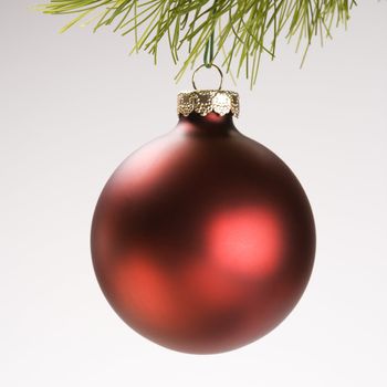 Still life of red Christmas ornament hanging from pine branch.