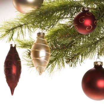 Still life of red and gold Christmas ornaments hanging from pine branch.